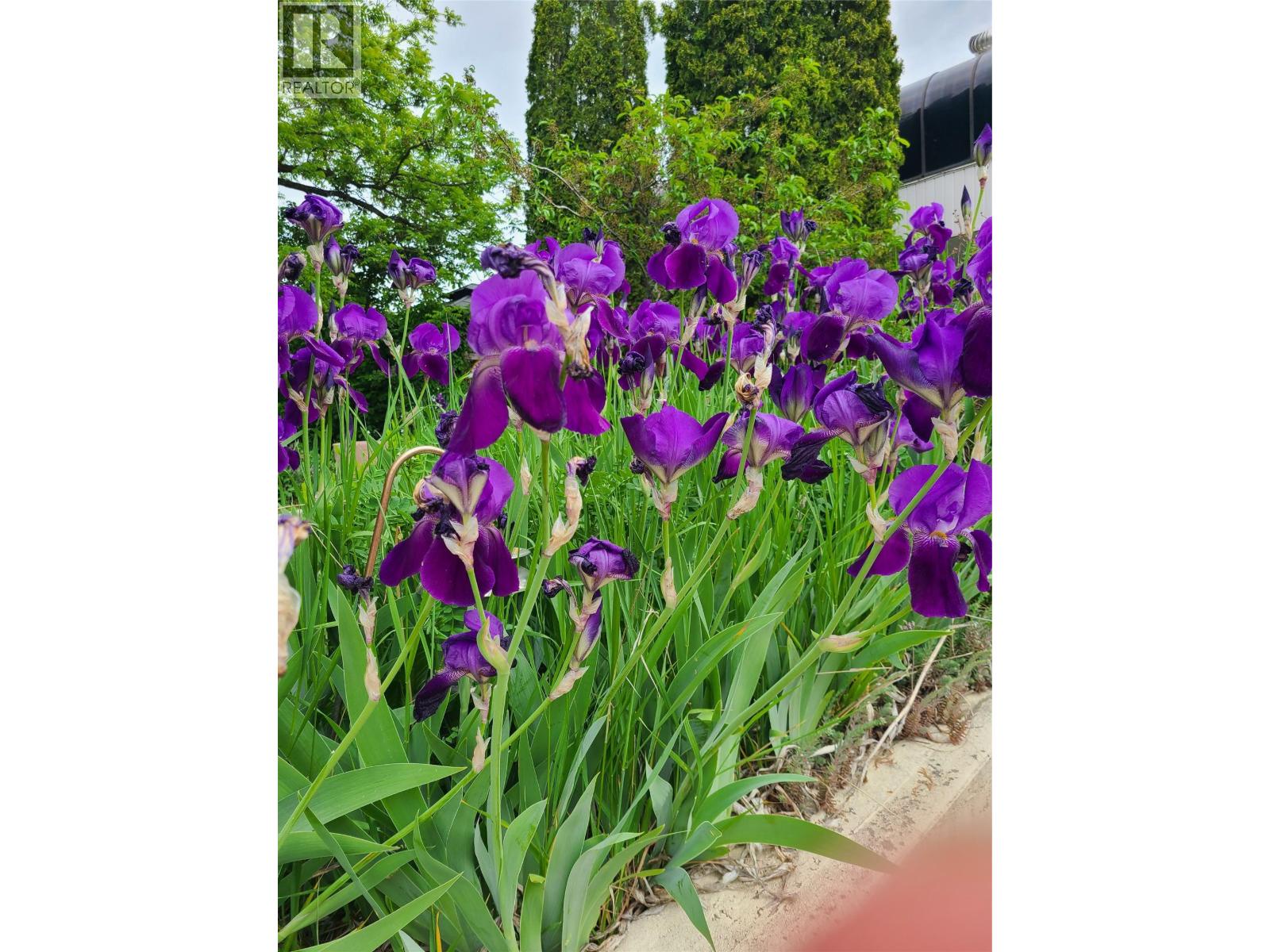 532 6th. Avenue N, Creston, British Columbia