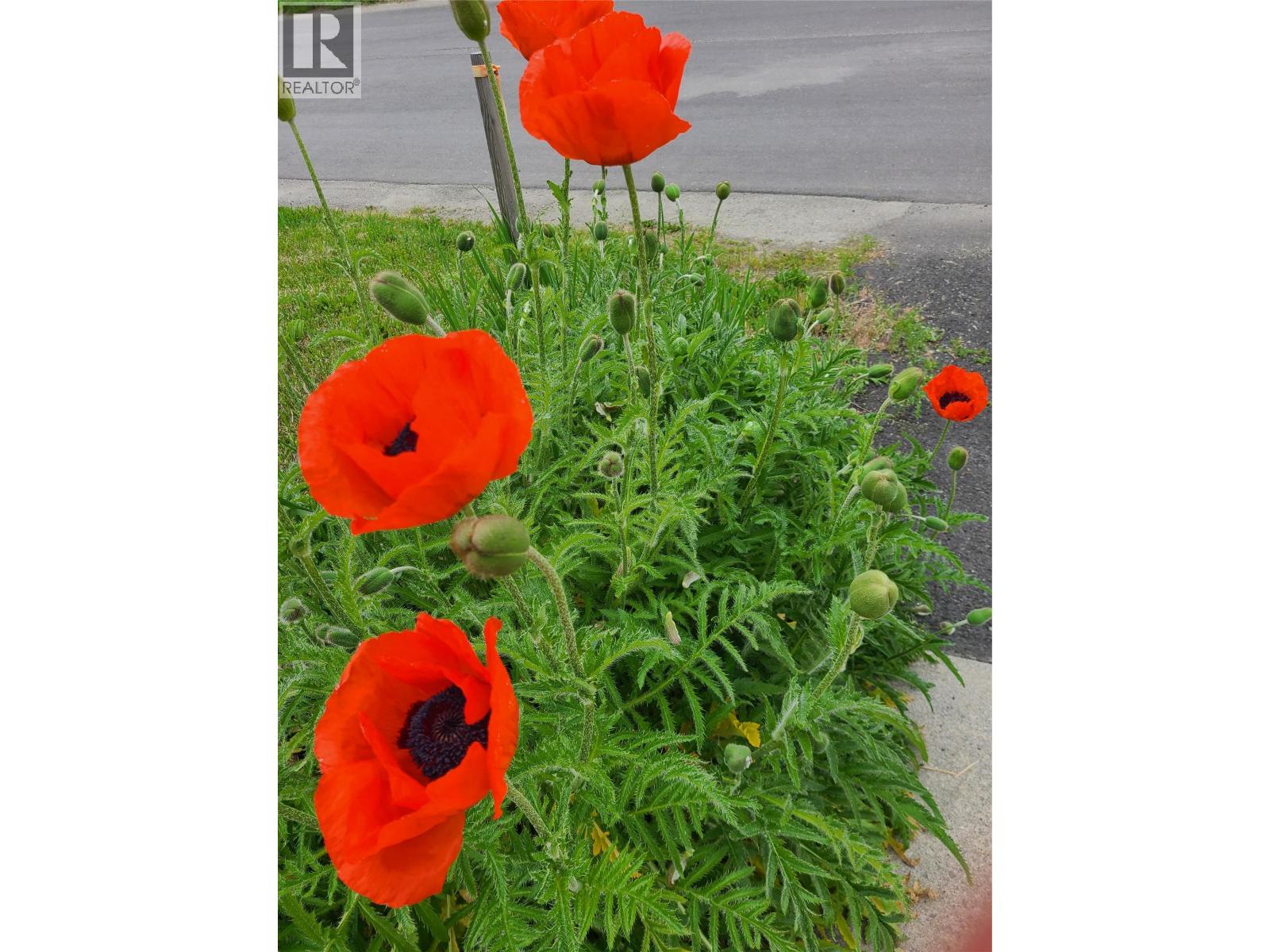 532 6th. Avenue N, Creston, British Columbia