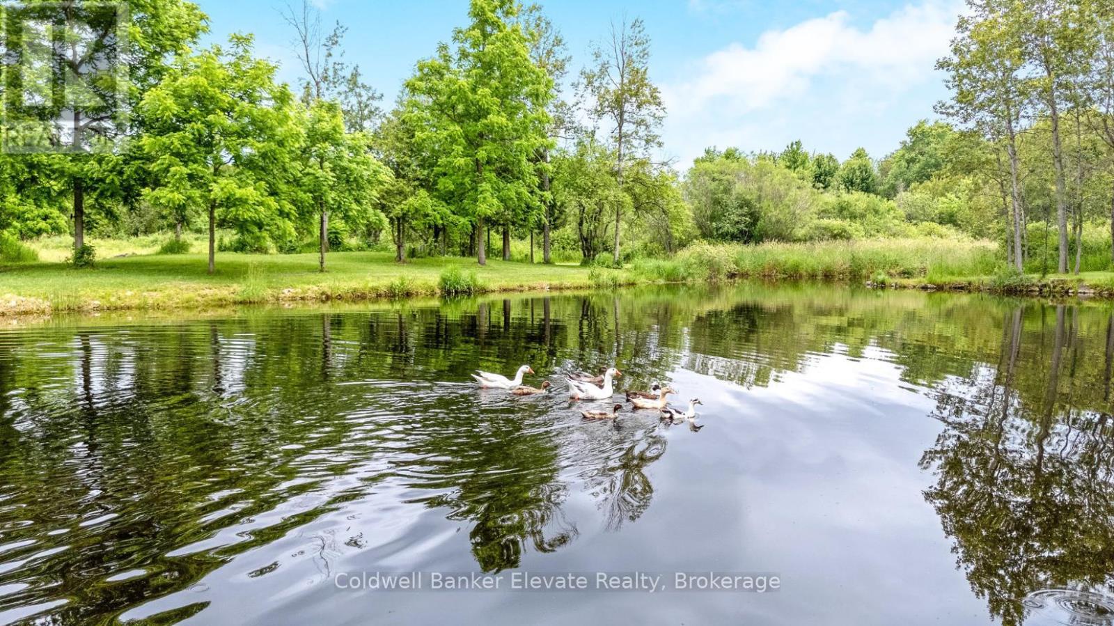 11425 Second Line Nassagaweya, Milton, Ontario