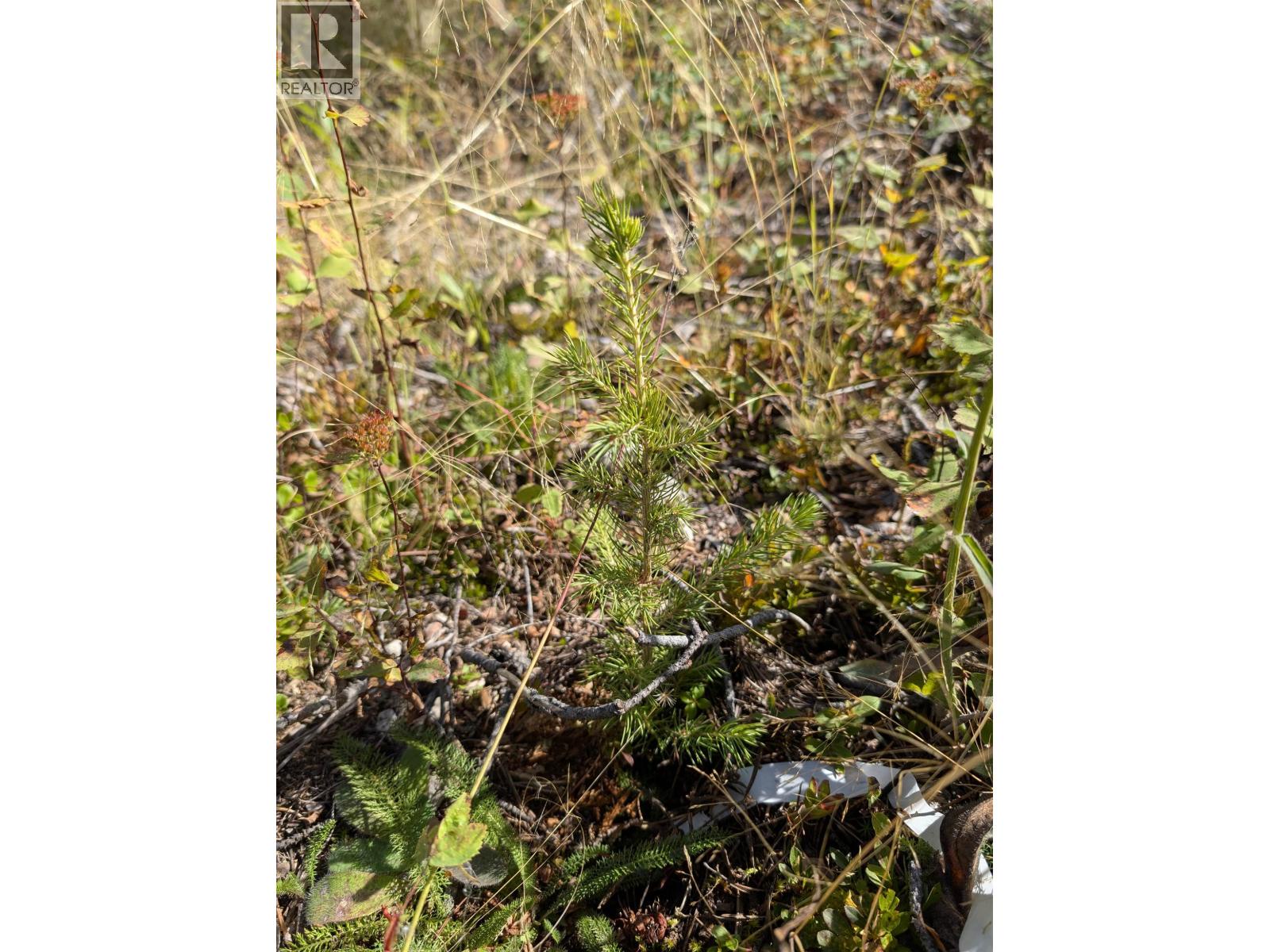 Dl 4185 Kaykay Forest Service Road, Prince George, British Columbia