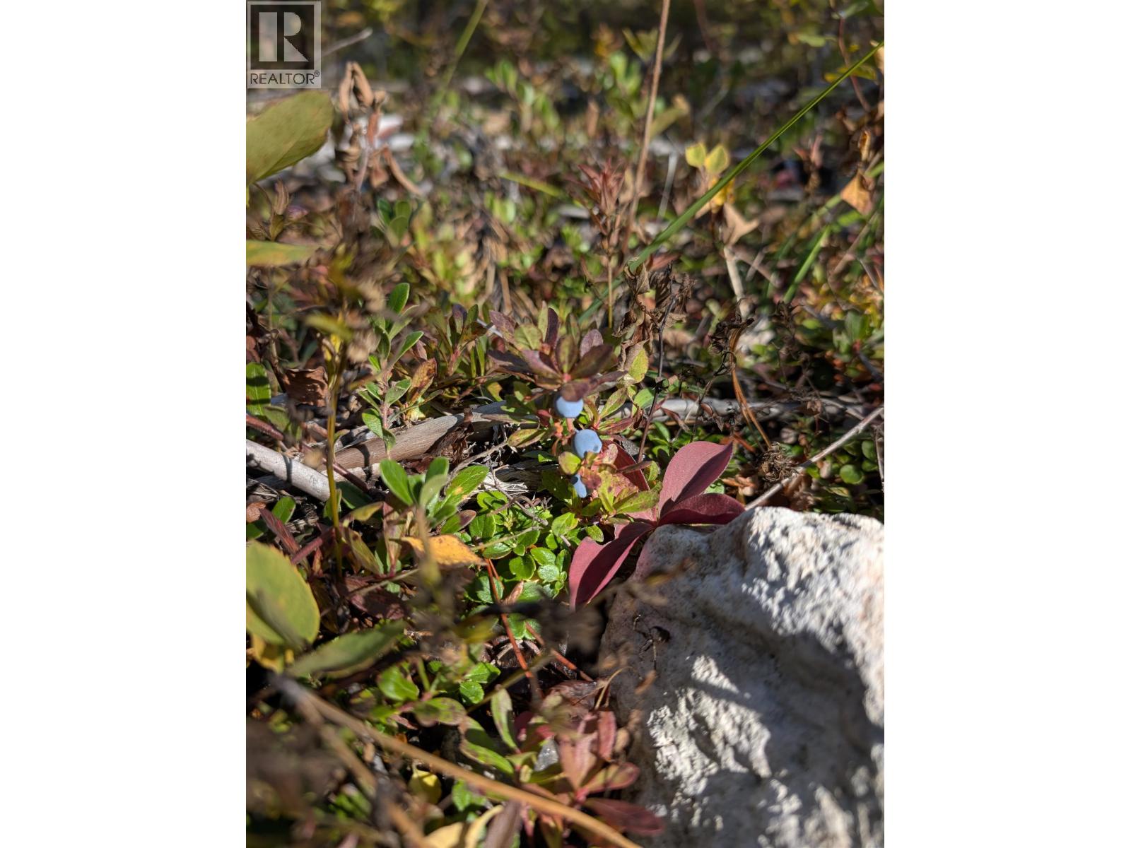 Dl 4185 Kaykay Forest Service Road, Prince George, British Columbia