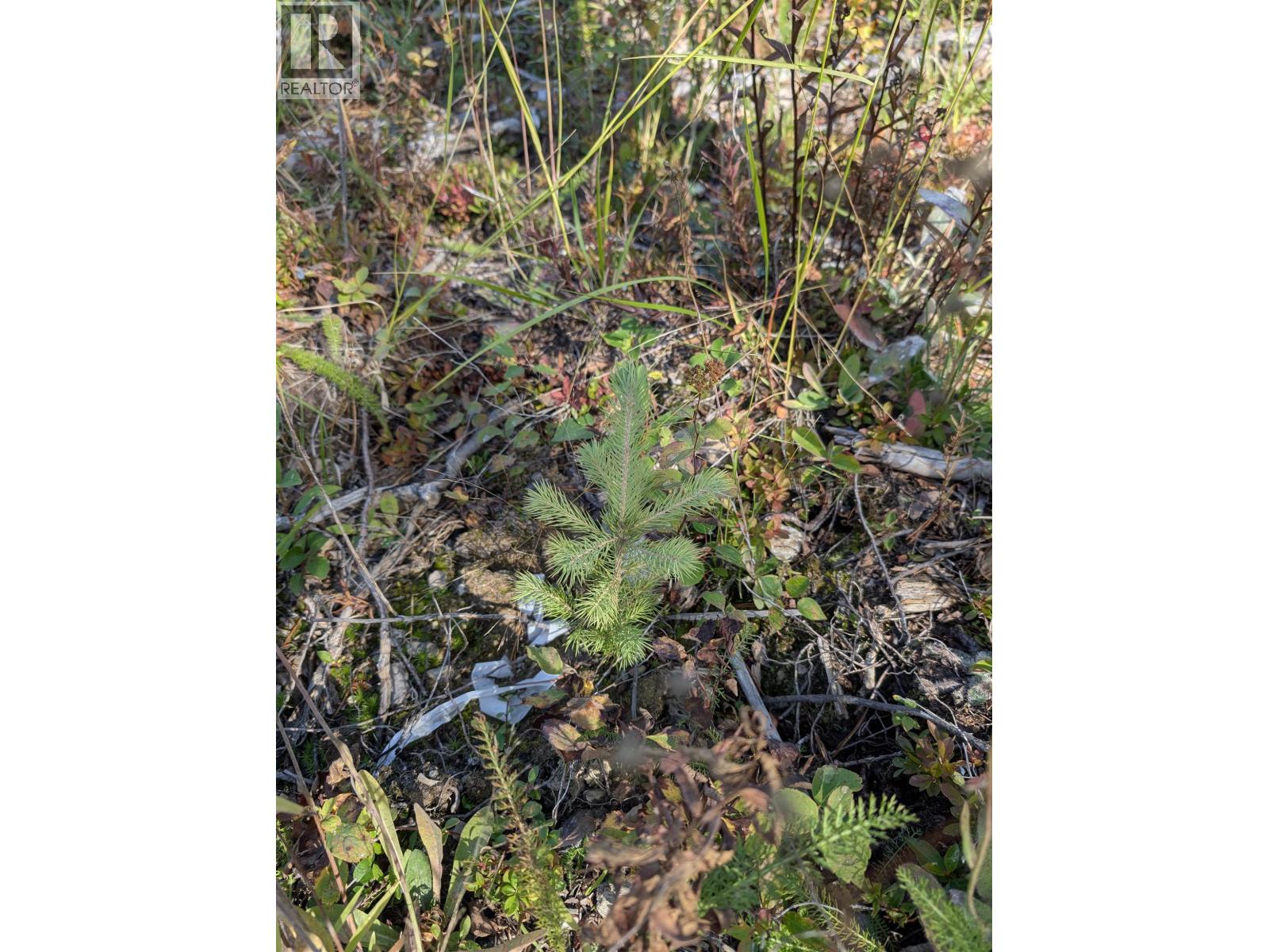 Dl 4185 Kaykay Forest Service Road, Prince George, British Columbia