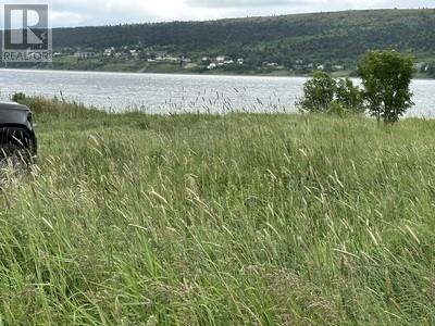 6-8 Old Water Street, Harbour Grace, Newfoundland And Labrador