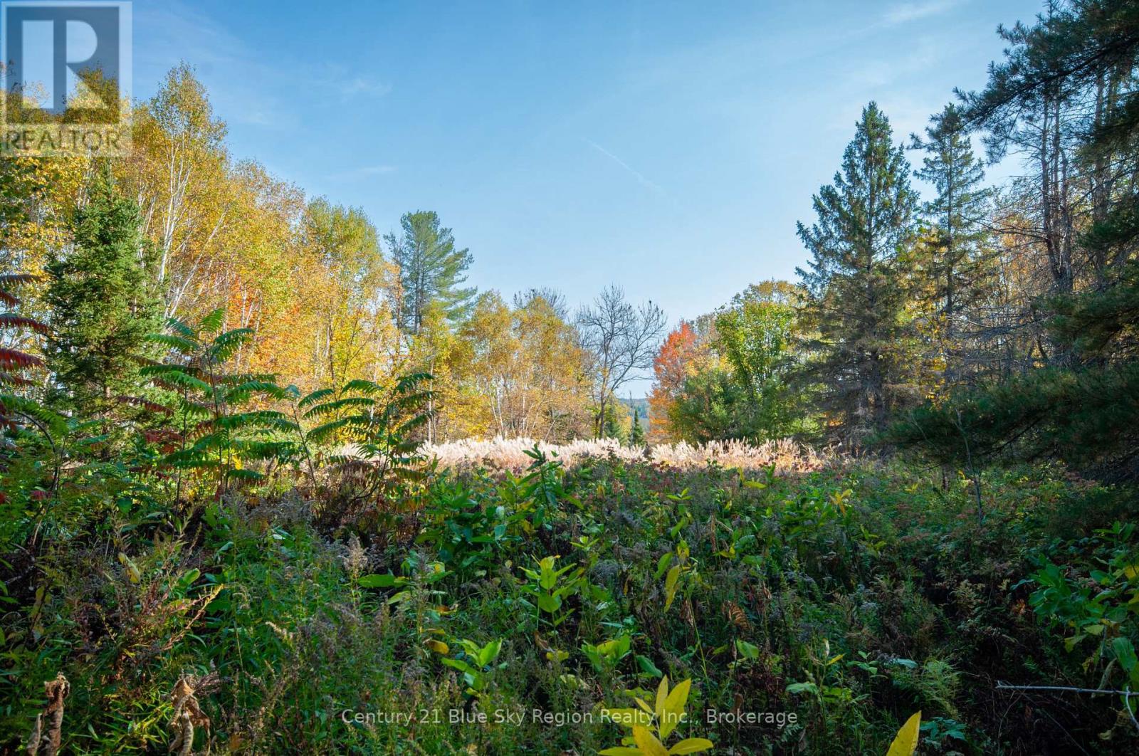 1061 South Shore Road, East Ferris, Ontario