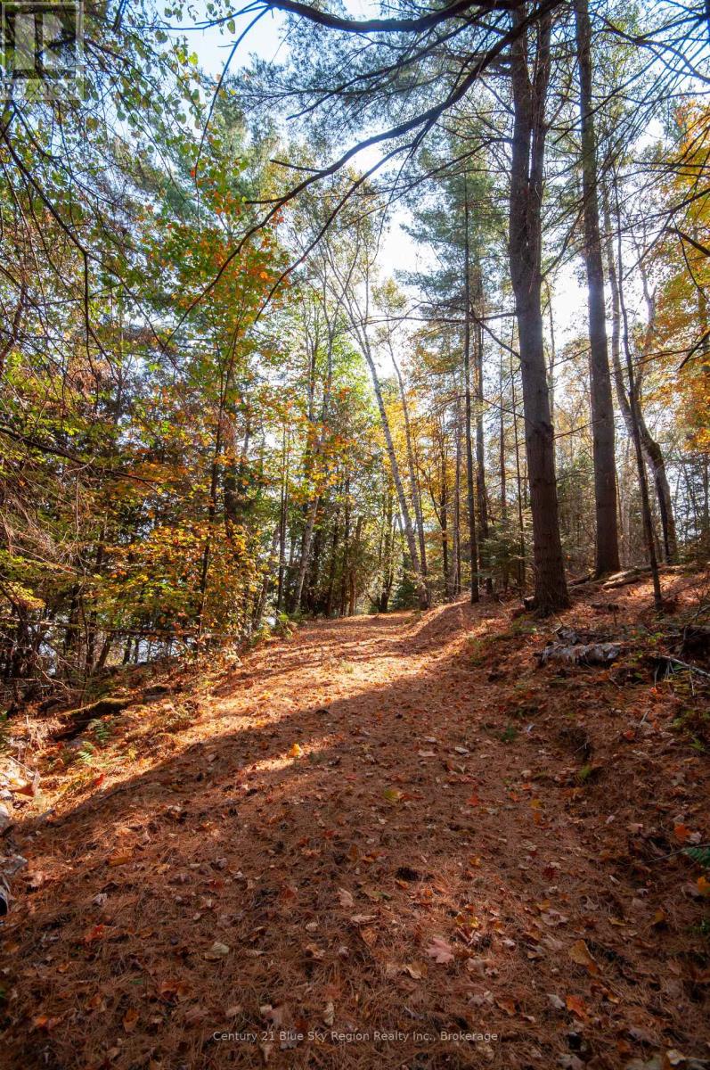 1061 South Shore Road, East Ferris, Ontario