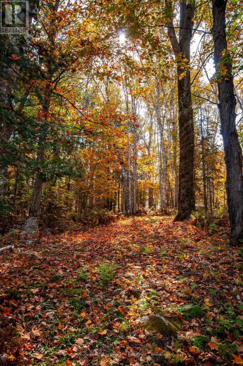 1061 South Shore Road, East Ferris, Ontario