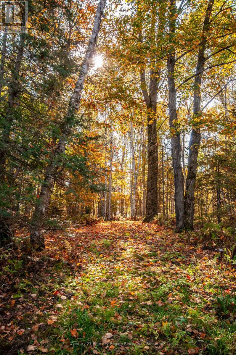 1061 South Shore Road, East Ferris, Ontario