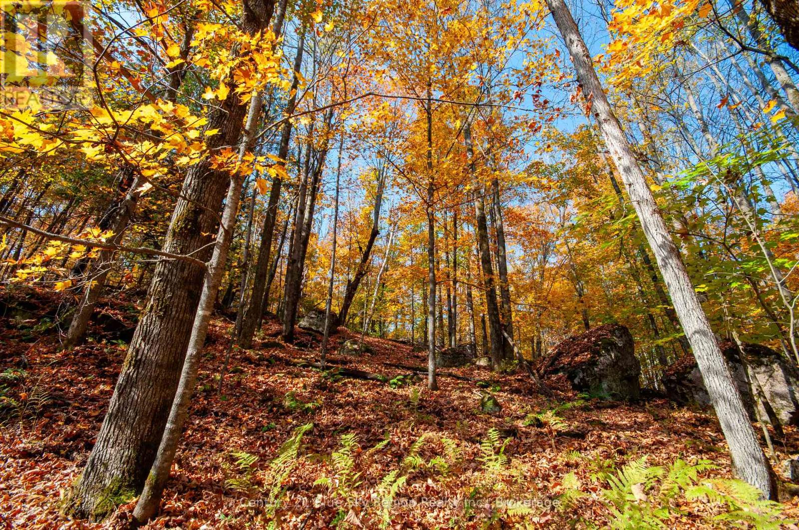 1061 South Shore Road, East Ferris, Ontario