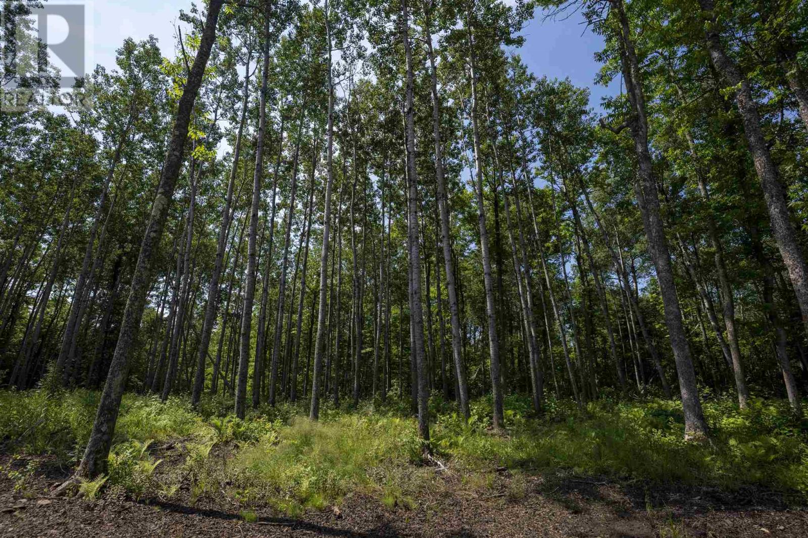 John St. Road, Oliver Paipoonge, Ontario