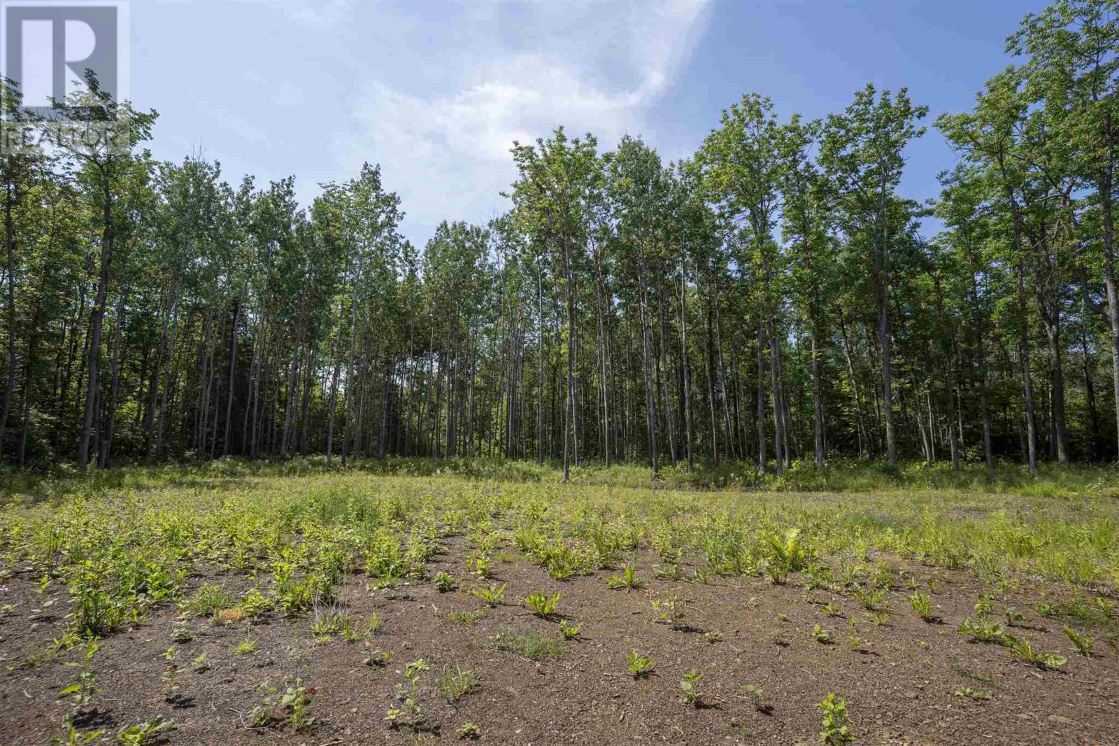 John St. Road, Oliver Paipoonge, Ontario