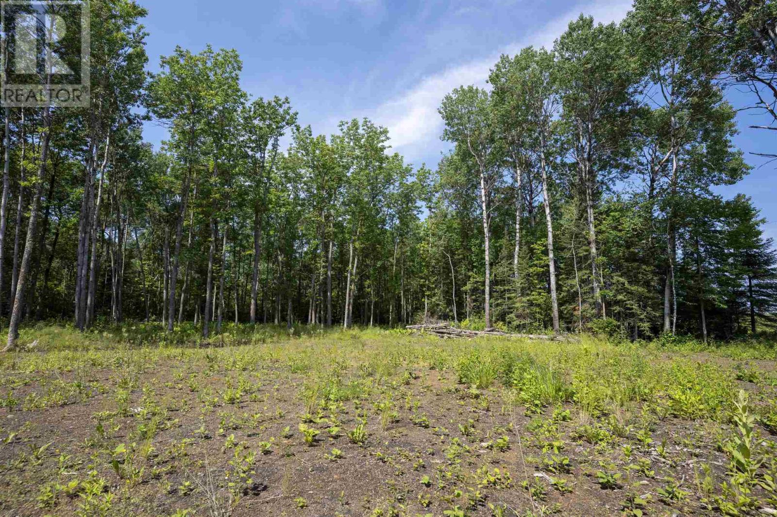 John St. Road, Oliver Paipoonge, Ontario