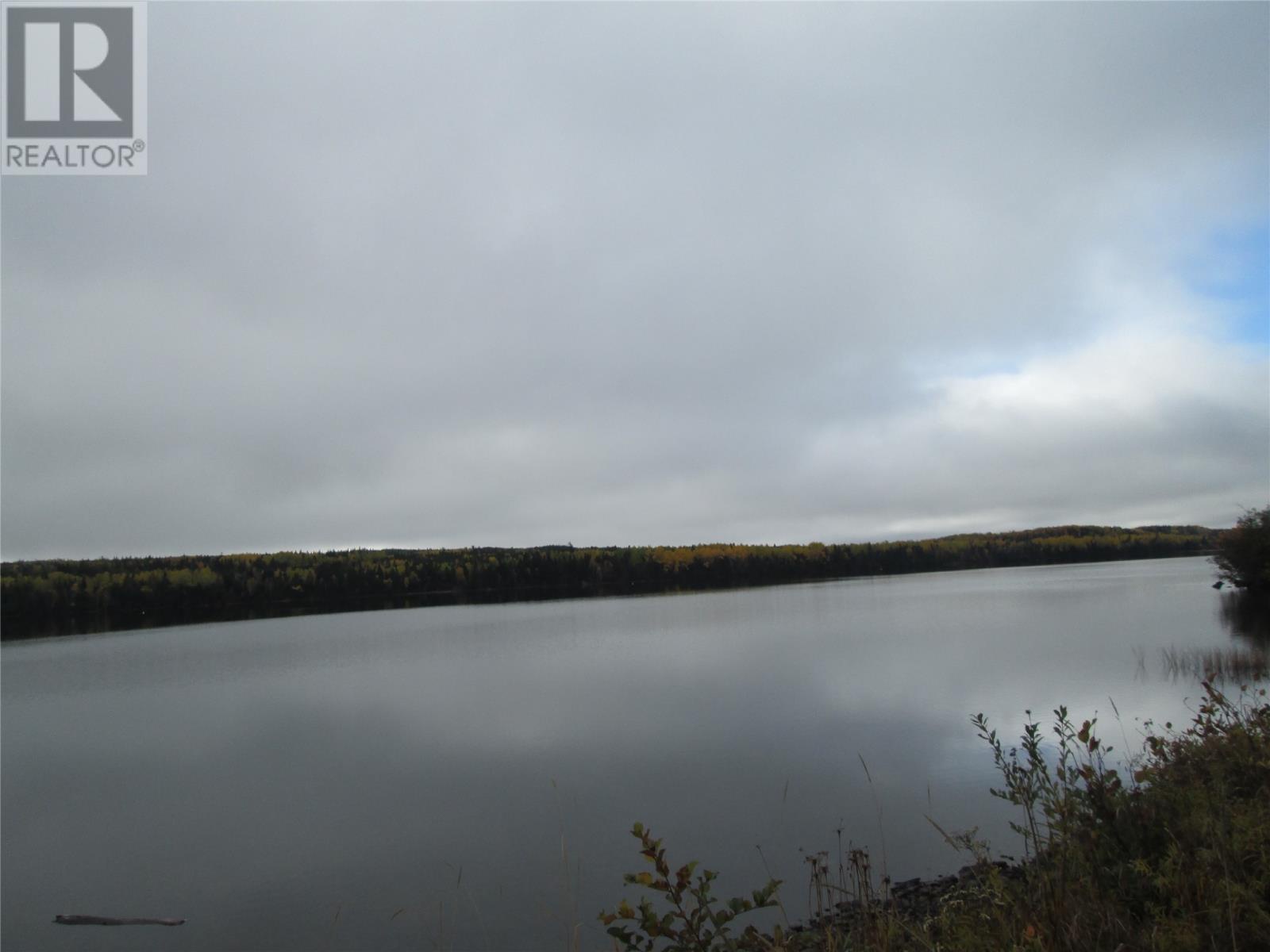 151 Main Street, Bishop's Falls, Newfoundland And Labrador