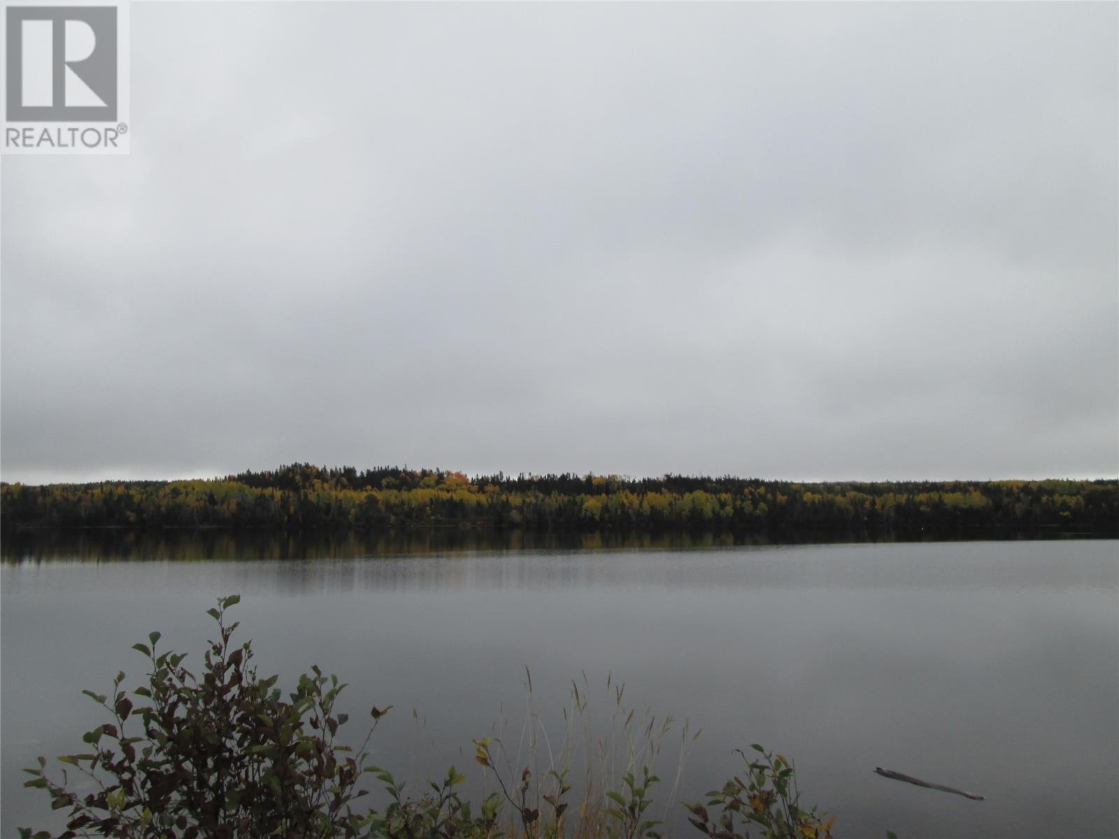 151 Main Street, Bishop's Falls, Newfoundland And Labrador