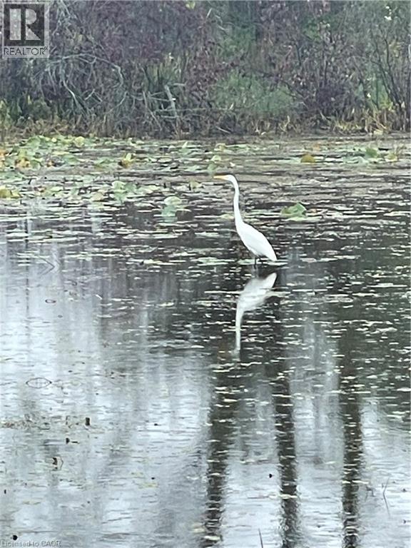 25 First Avenue, Long Point, Ontario