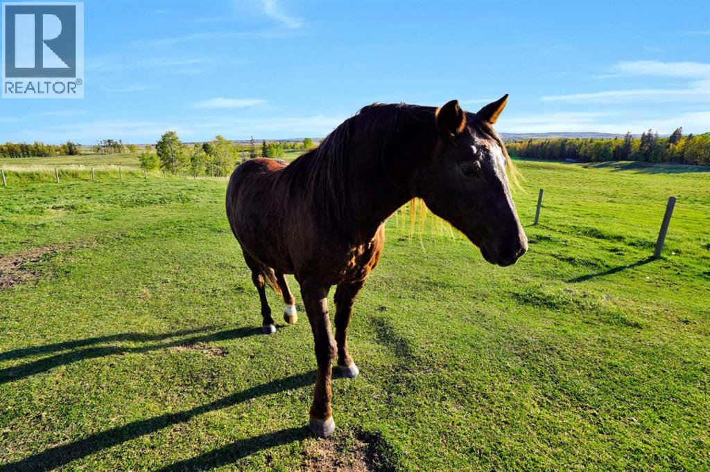 45040 421a Township, Rural Ponoka County, Alberta