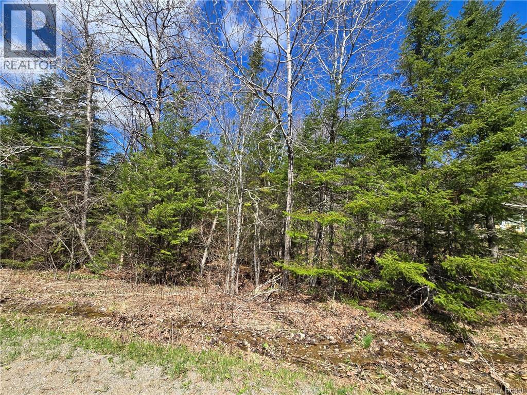 318 Ketchum Road, Kingston, New Brunswick