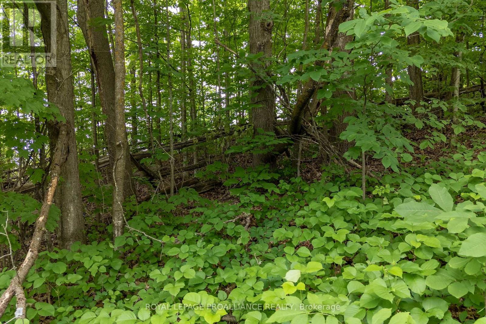 5035 Blessington Road, Tyendinaga (tyendinaga Township), Ontario