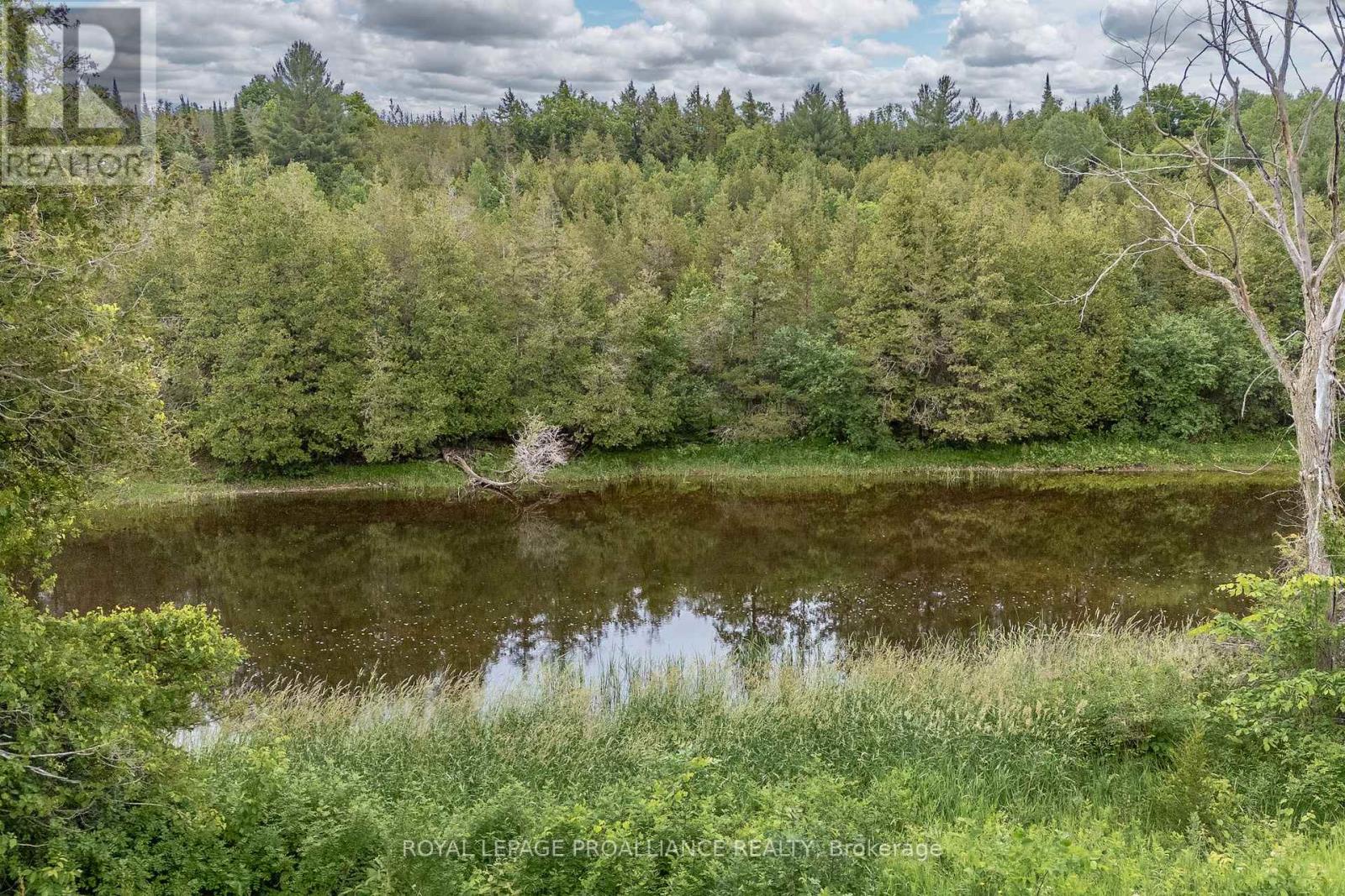 5035 Blessington Road, Tyendinaga (tyendinaga Township), Ontario