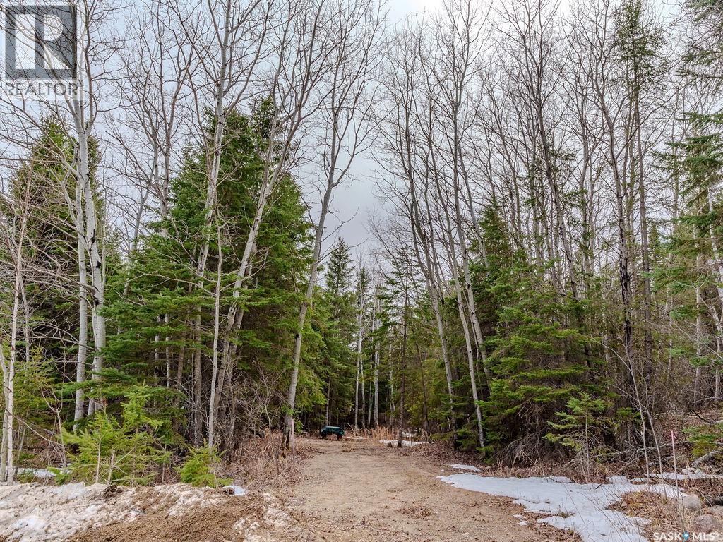 209 Poplar Crescent, Paddockwood Rm No. 520, Saskatchewan