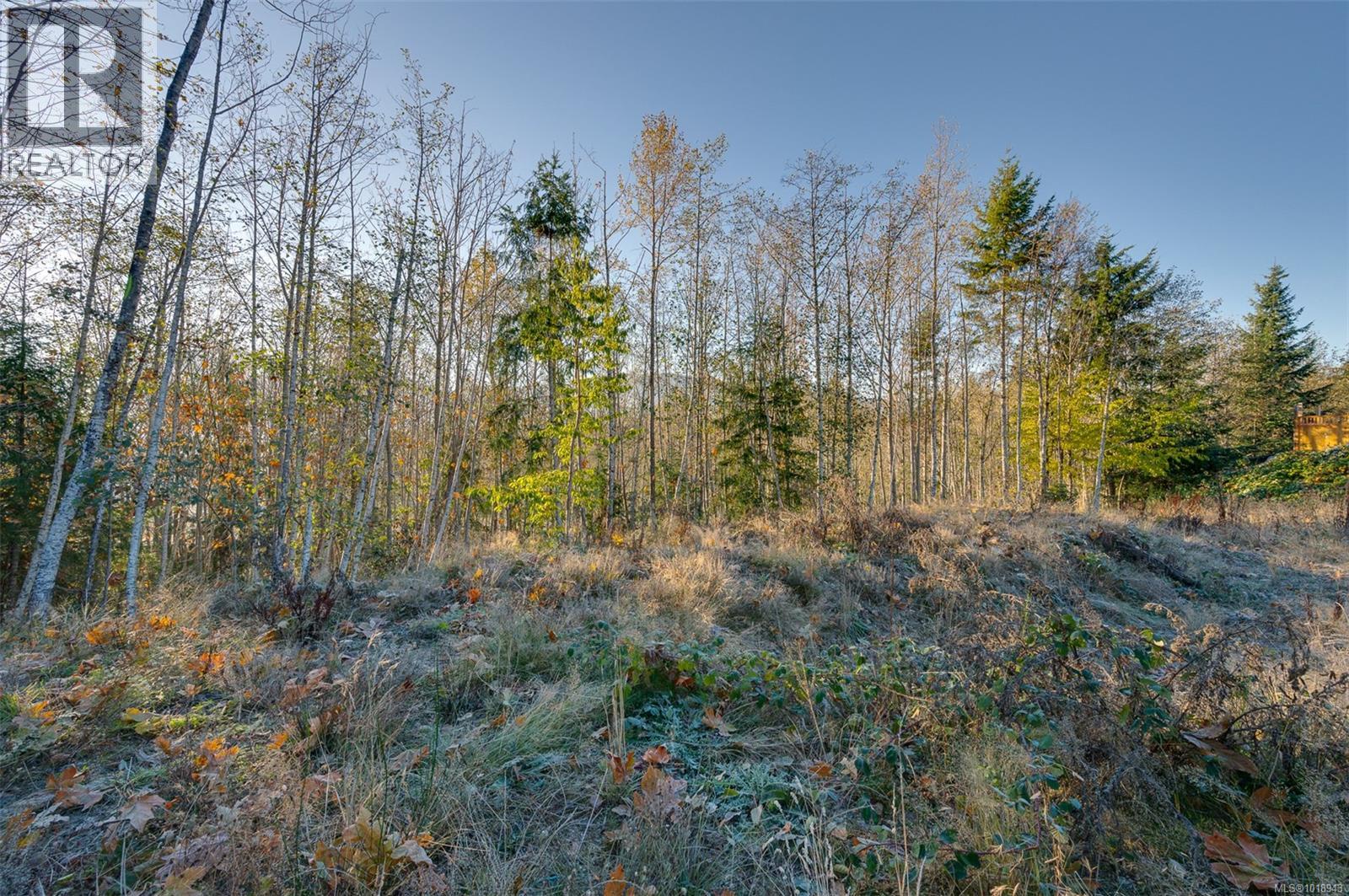 Lot 25 Beech Cres, Lake Cowichan, British Columbia