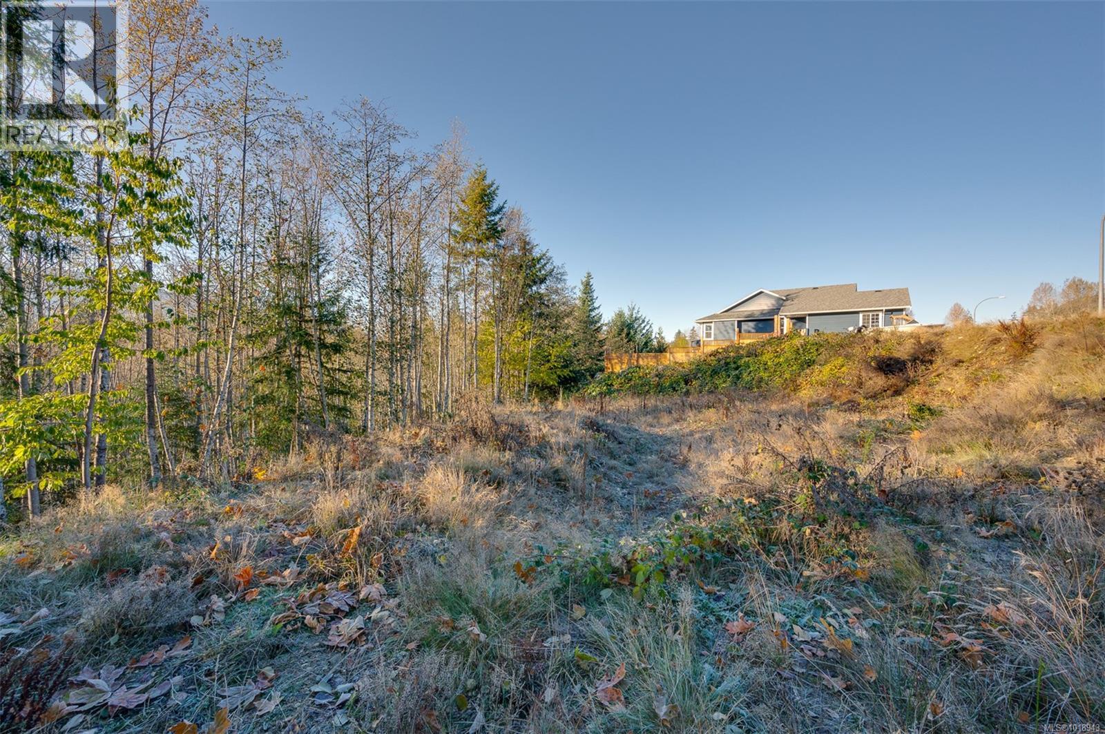 Lot 25 Beech Cres, Lake Cowichan, British Columbia
