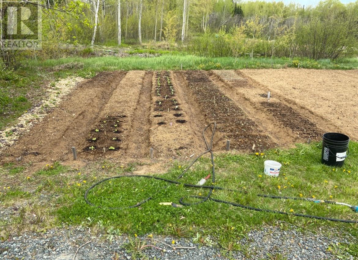 200 Comfort Cove Highway, Comfort Cove-newstead, Newfoundland And Labrador