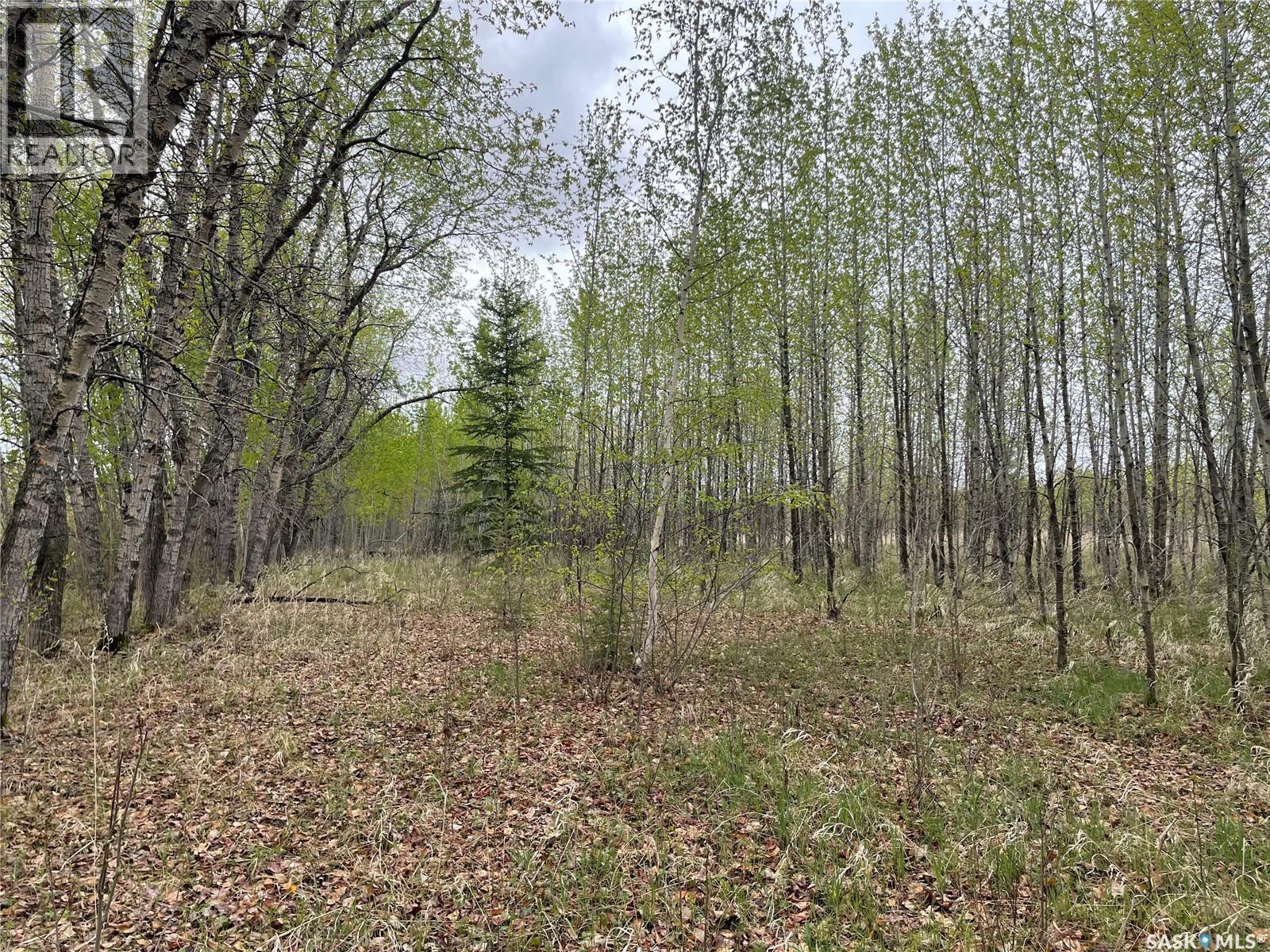 5.5km South Of Dorintosh Lot 4, Meadow Lake Rm No.588, Saskatchewan
