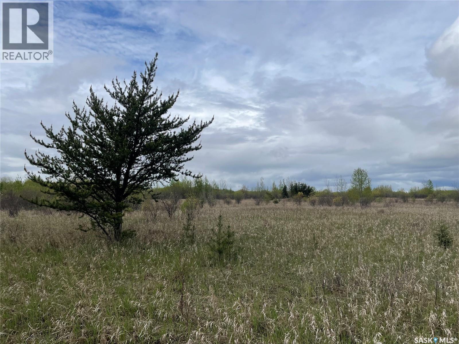 5.5km South Of Dorintosh Lot 3, Meadow Lake Rm No.588, Saskatchewan
