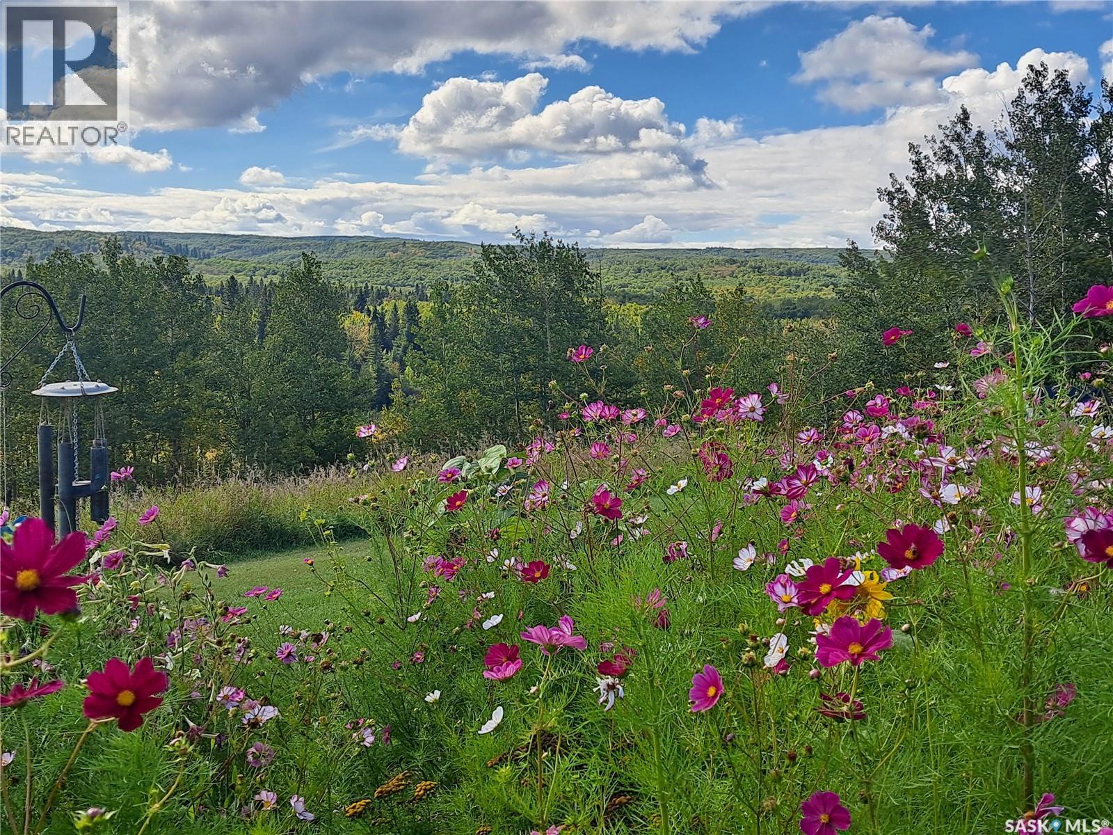 D 'amour Lot 24, Leask Rm No. 464, Saskatchewan