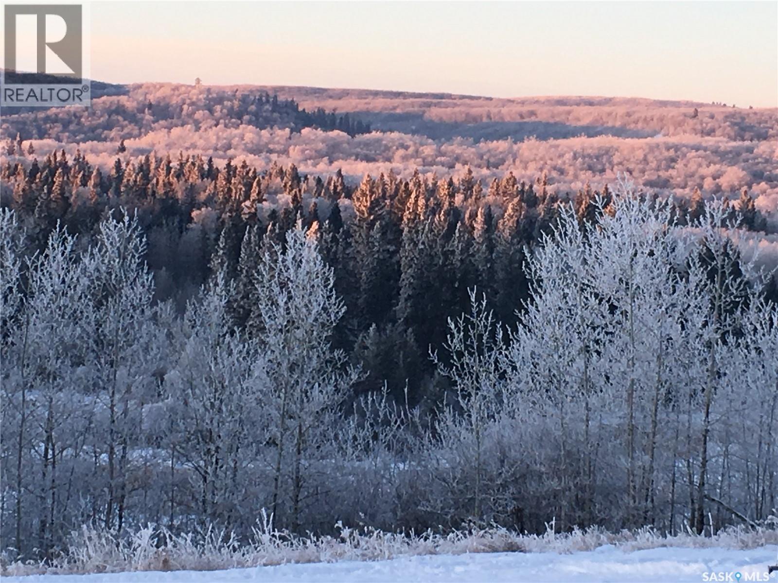 D 'amour Lot 24, Leask Rm No. 464, Saskatchewan