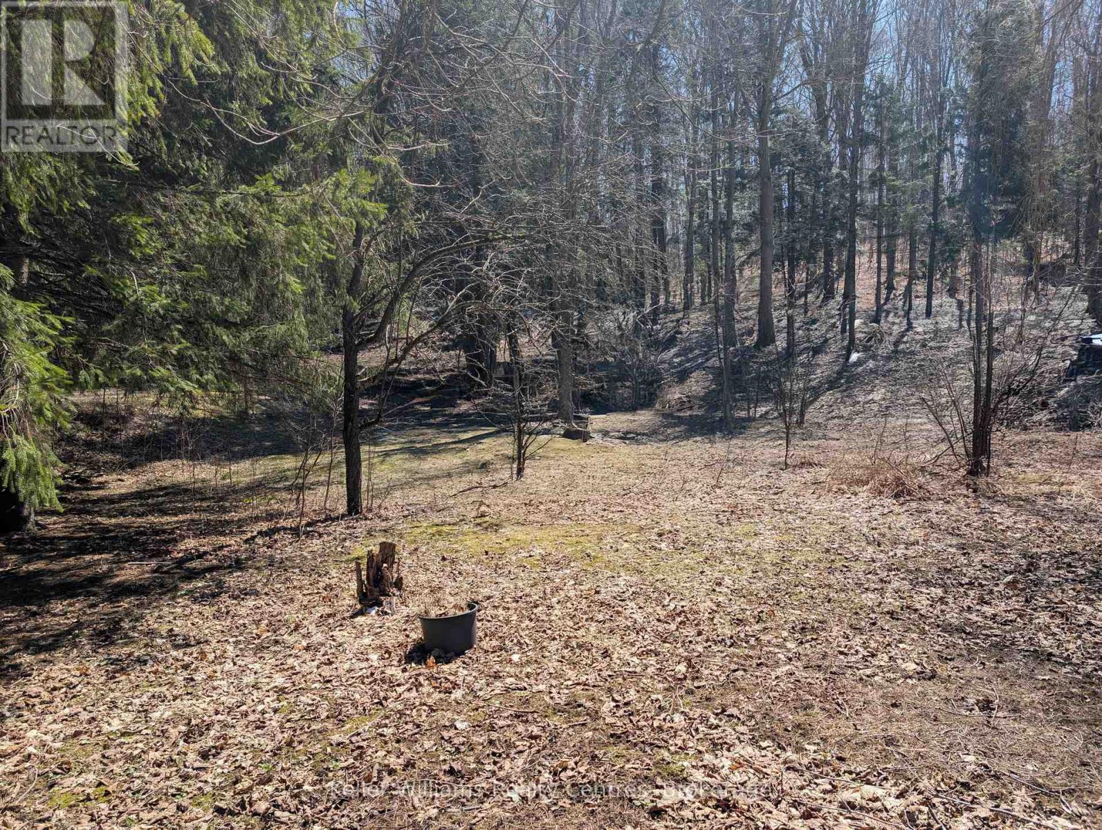 120 Anderson Drive S, West Grey, Ontario