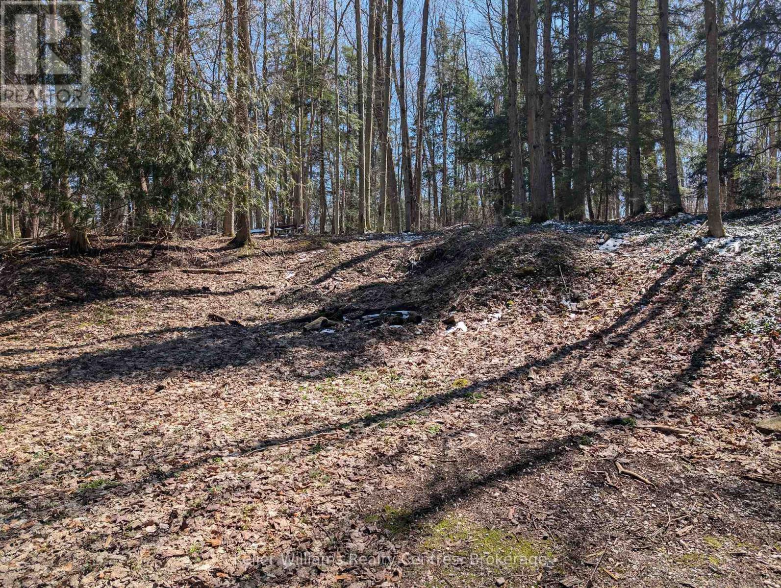 120 Anderson Drive S, West Grey, Ontario