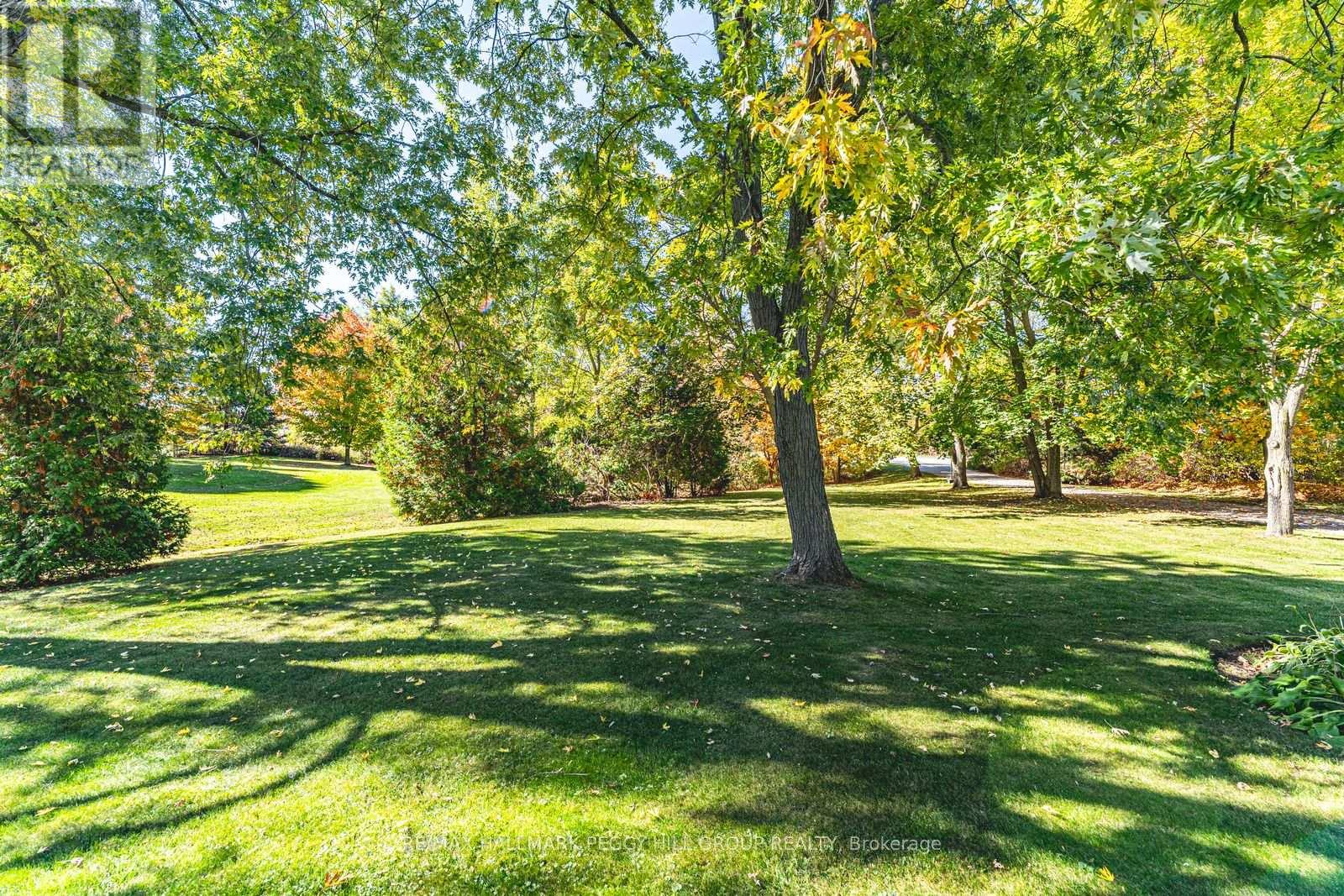 5853 Yonge Street, Innisfil, Ontario