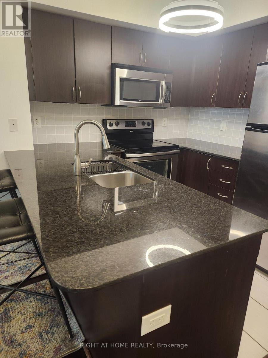 519 - 1060 Sheppard Avenue W, Toronto (york University Heights), Ontario