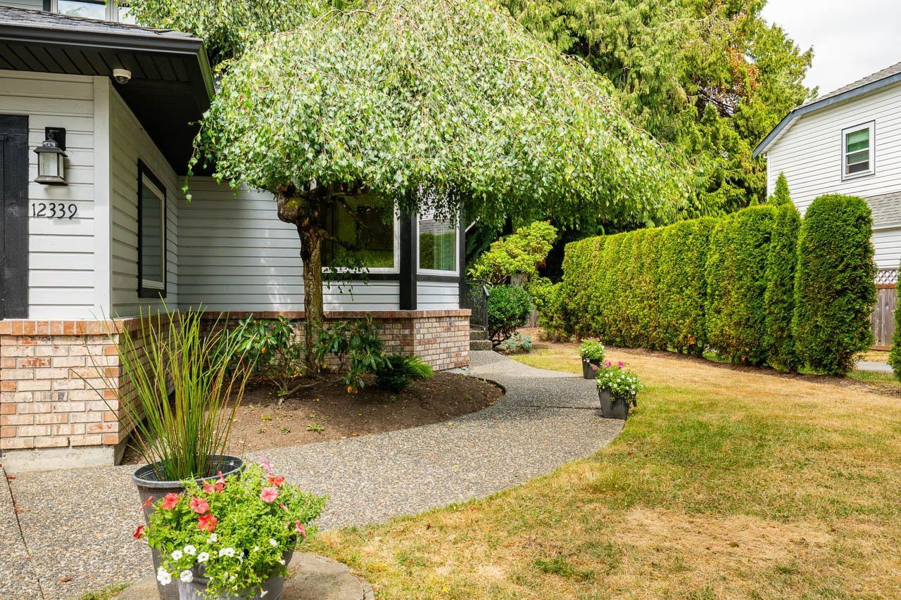 12339 Southpark Crescent Crescent, Surrey, British Columbia