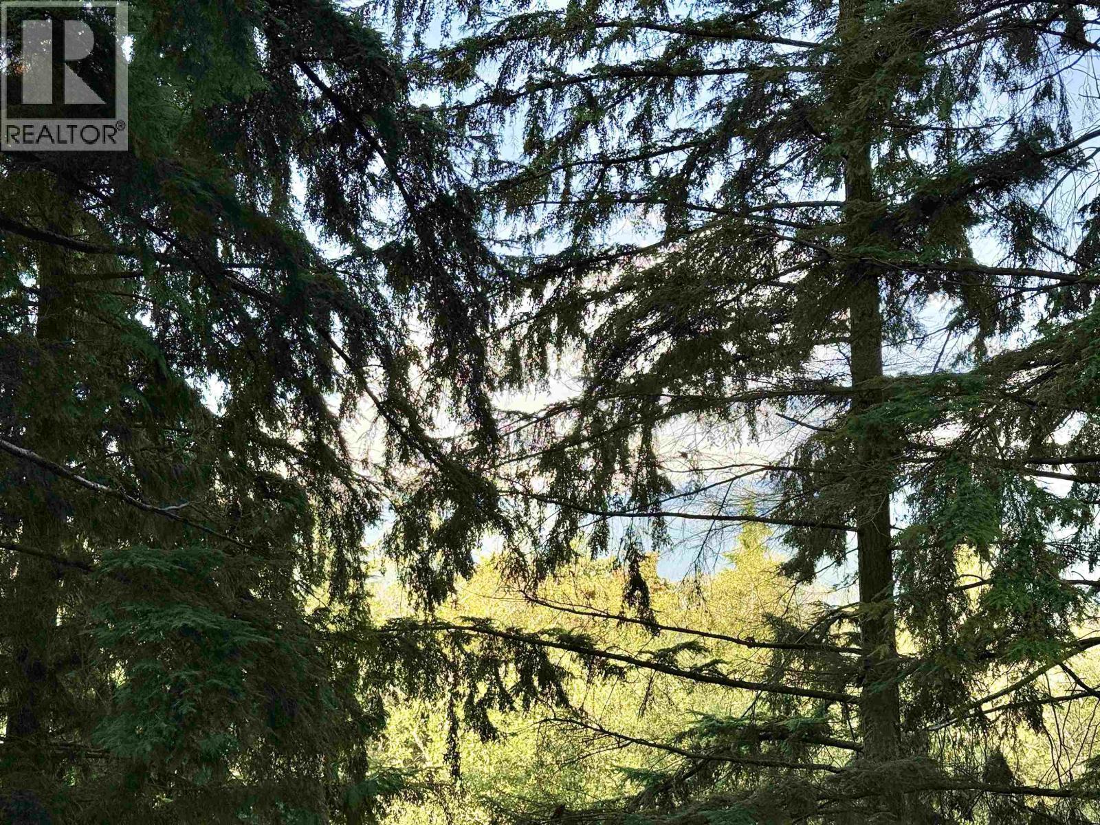 305 9232 University Crescent, Burnaby, British Columbia