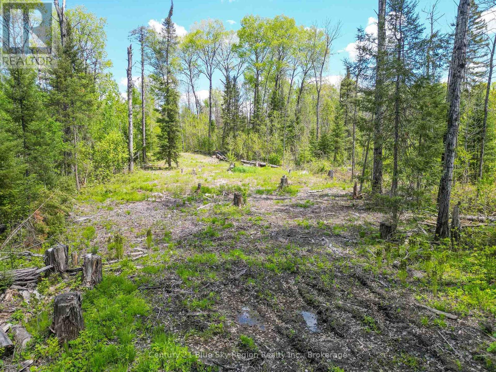 13 One Mile Road, East Ferris, Ontario