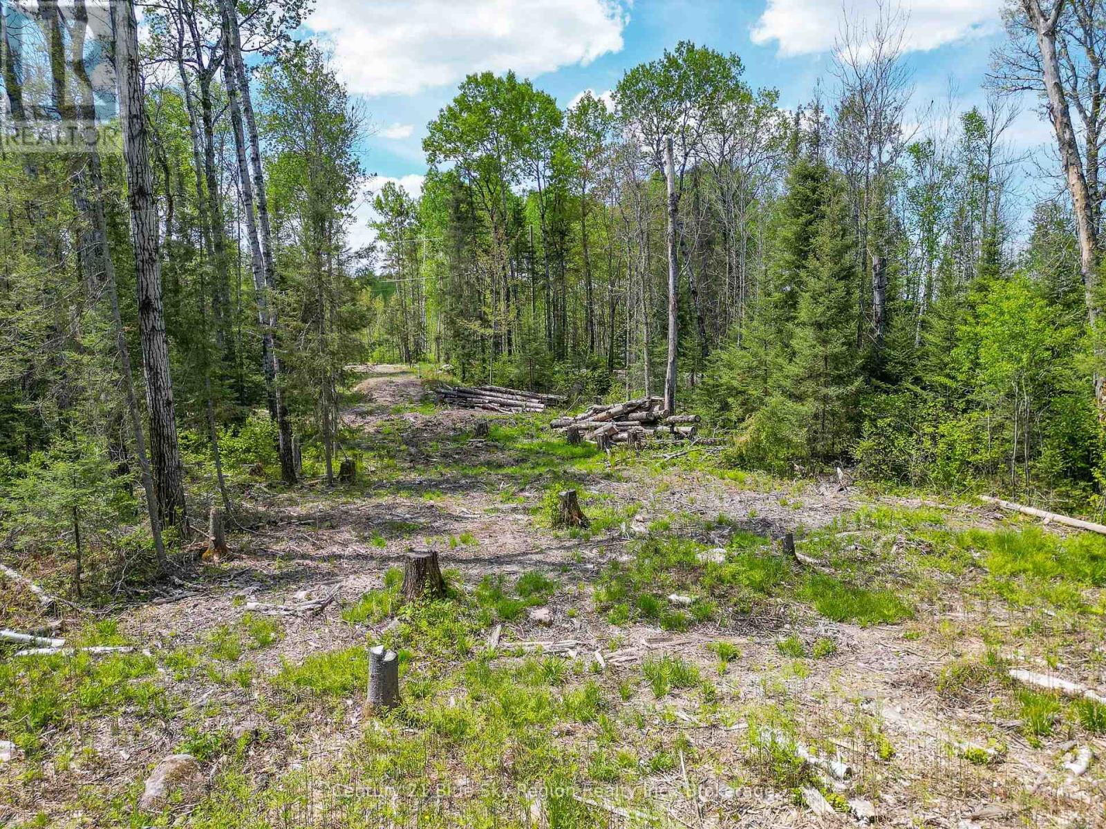 13 One Mile Road, East Ferris, Ontario