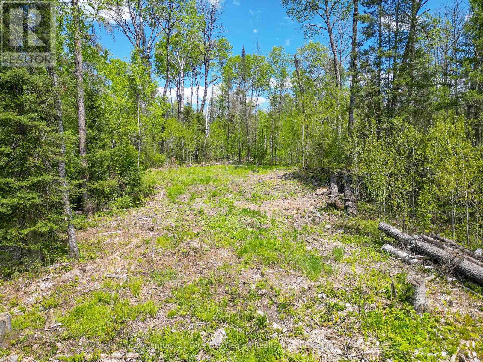 13 One Mile Road, East Ferris, Ontario