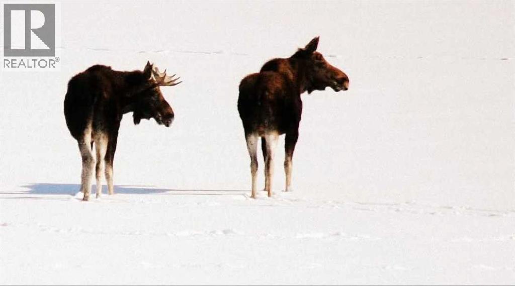 40225 Rr 19-2, Rural Stettler No. 6, County Of, Alberta