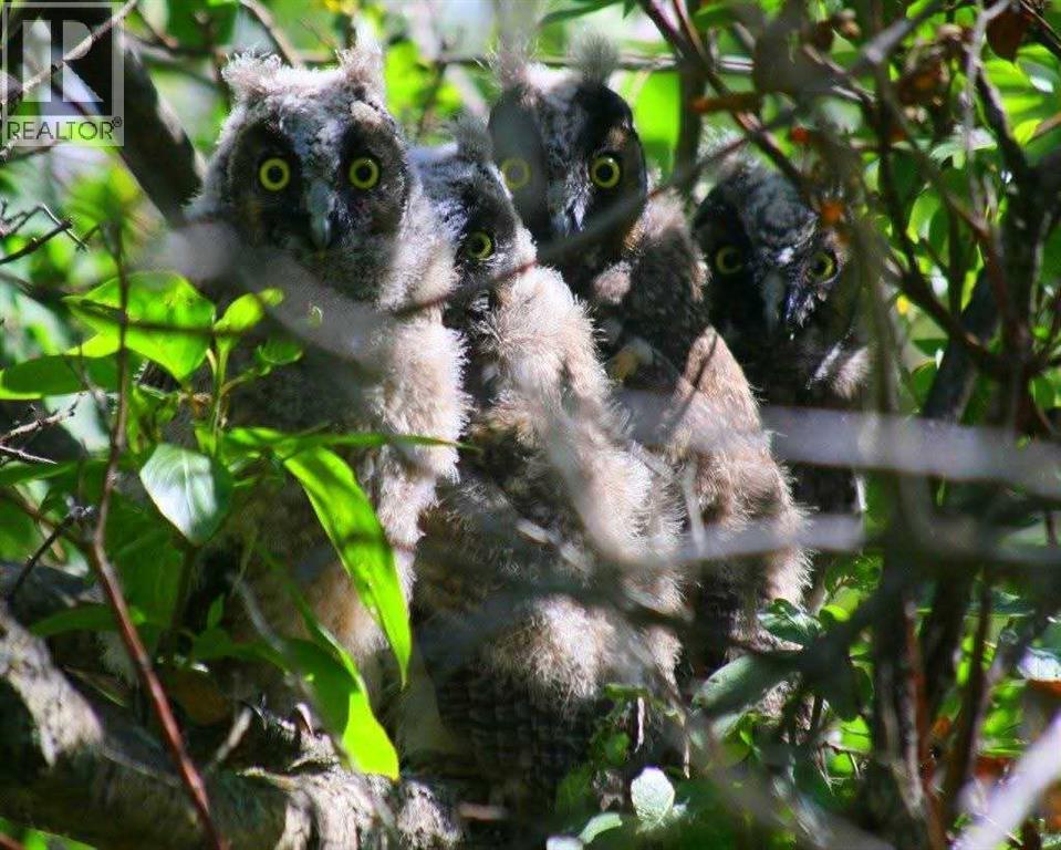 40225 Rr 19-2, Rural Stettler No. 6, County Of, Alberta