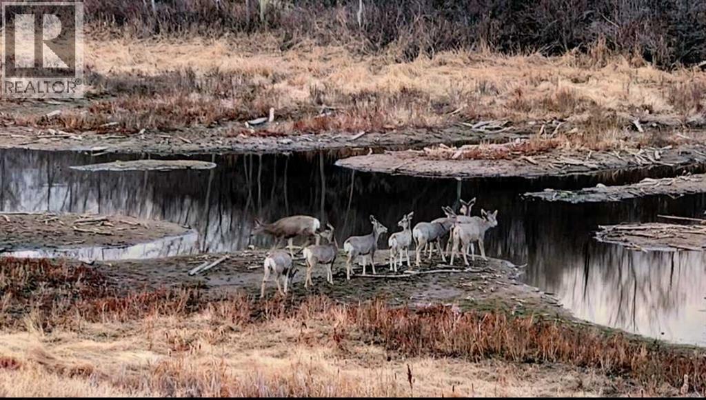 40225 Rr 19-2, Rural Stettler No. 6, County Of, Alberta