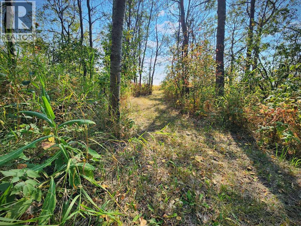 40225 Rr 19-2, Rural Stettler No. 6, County Of, Alberta