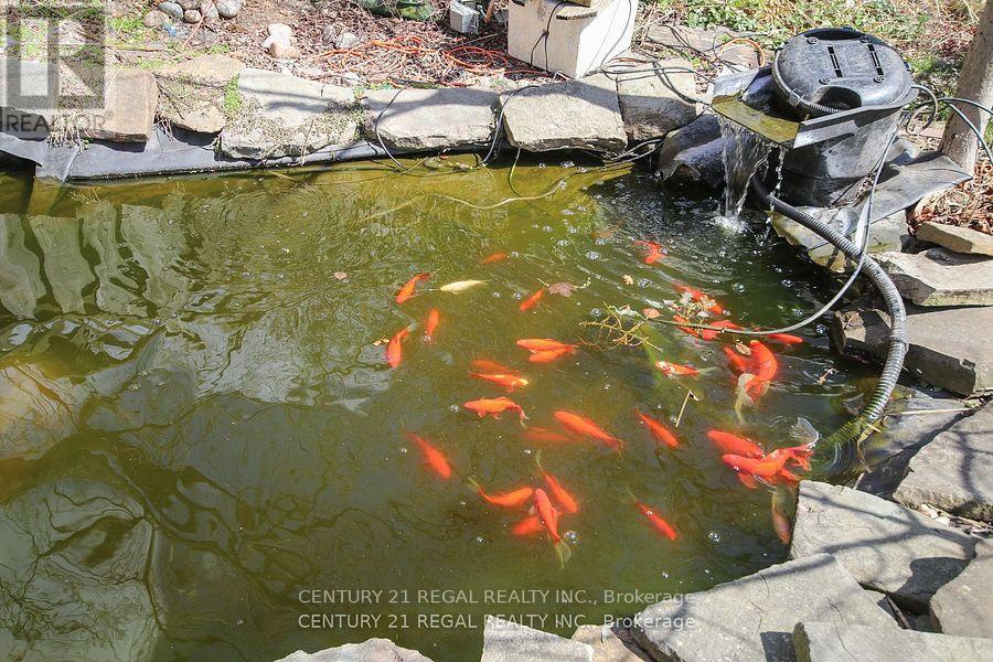 102 Newcastle Street, Toronto (mimico), Ontario