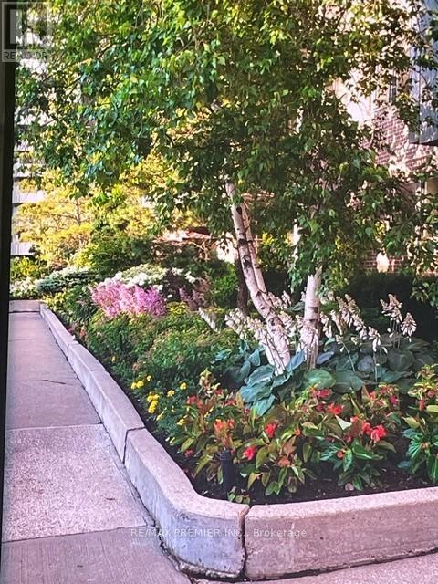 904 - 250 Scarlett Road, Toronto (rockcliffe-smythe), Ontario