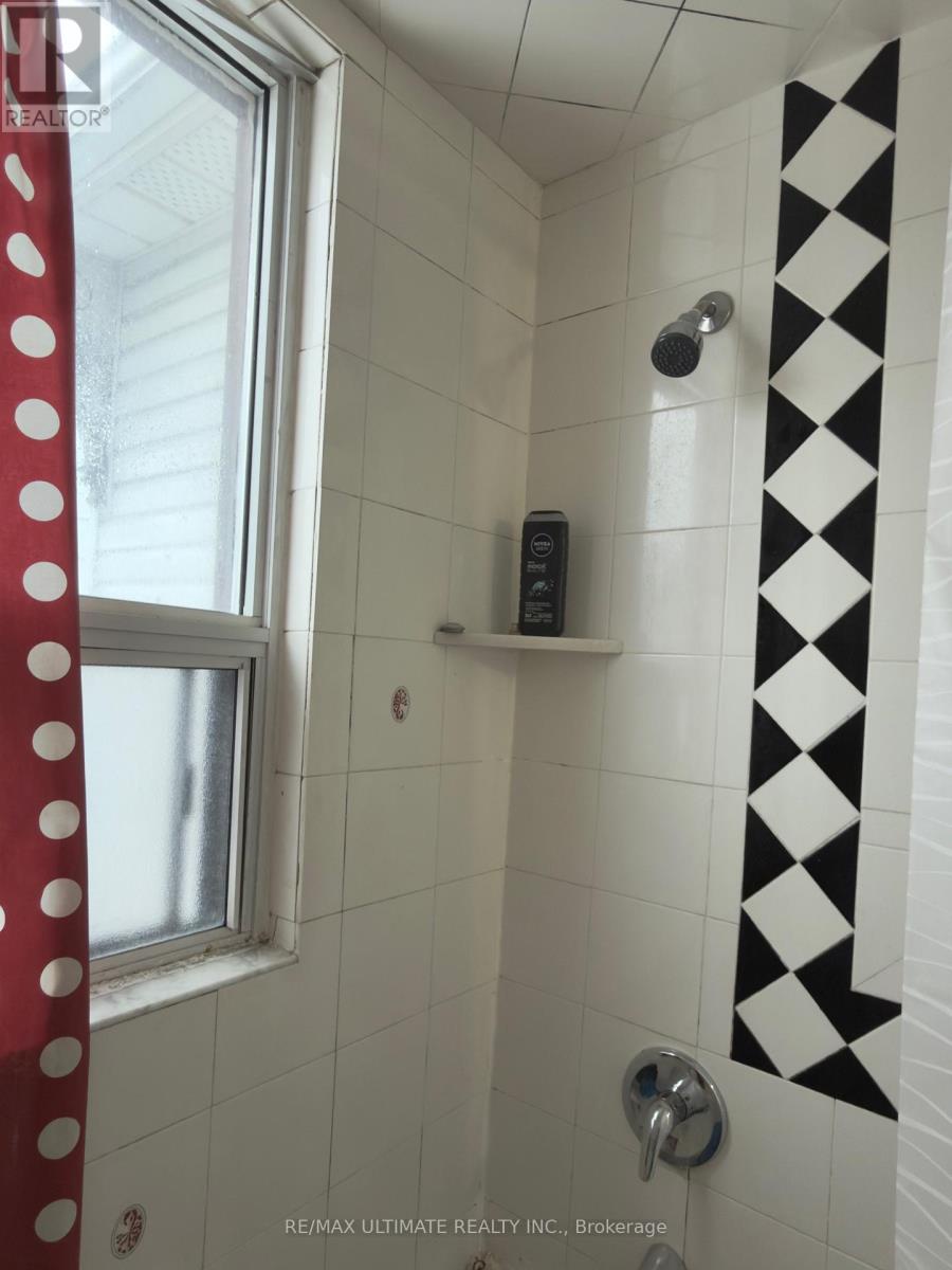 33 Shannon Street, Toronto (trinity-bellwoods), Ontario