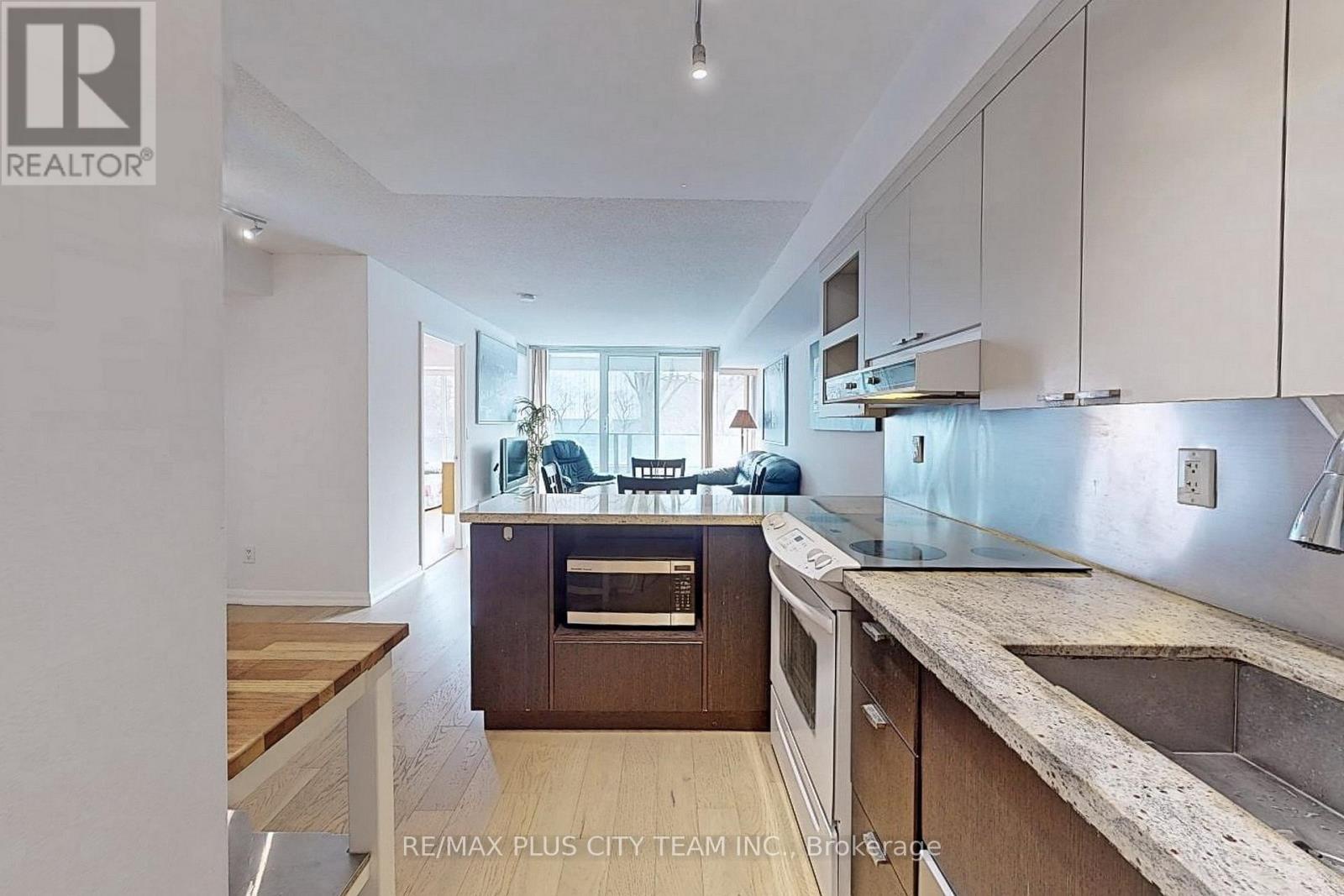 308 - 111 Elizabeth Street, Toronto (bay Street Corridor), Ontario