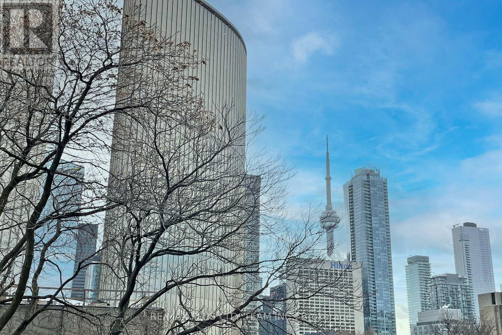 308 - 111 Elizabeth Street, Toronto (bay Street Corridor), Ontario