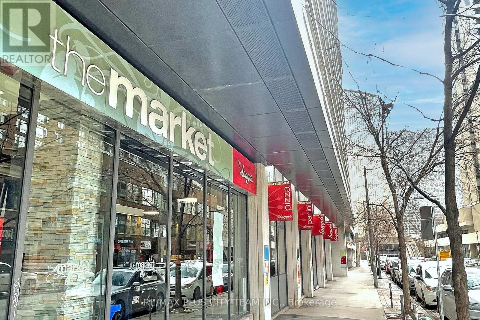 308 - 111 Elizabeth Street, Toronto (bay Street Corridor), Ontario