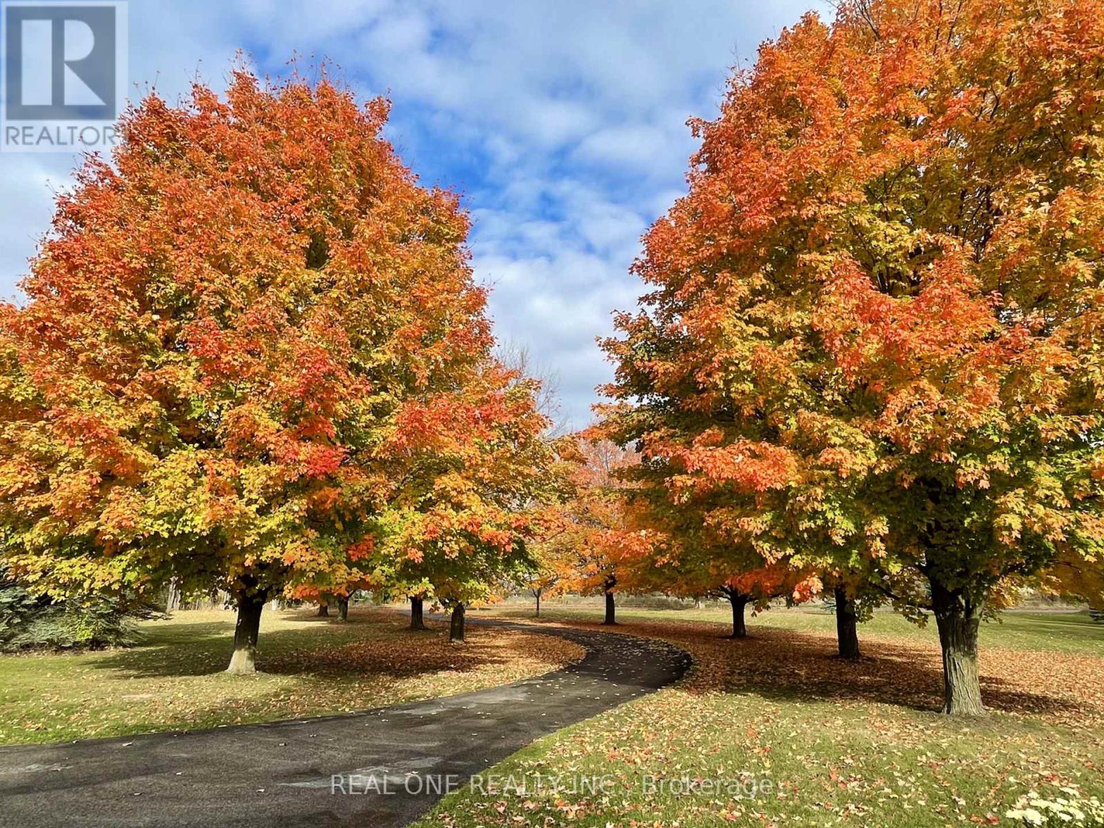 2477 Hornes Road, East Gwillimbury, Ontario